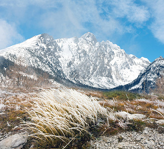 带霜草的山景图片