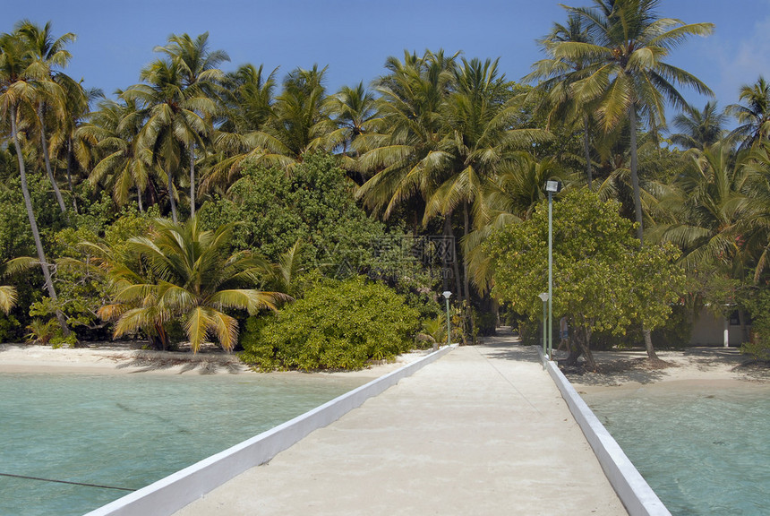 马尔代夫的比亚杜岛图片