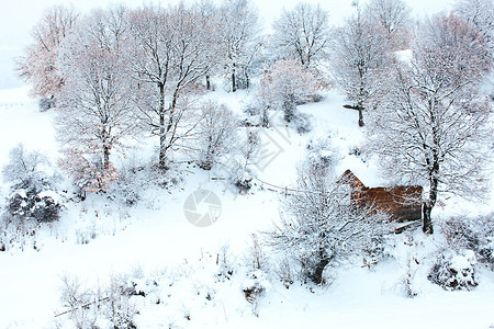 深冬森林中的雪屋图片