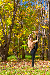 在秋天的森林里男人锻炼瑜伽Trivikra图片