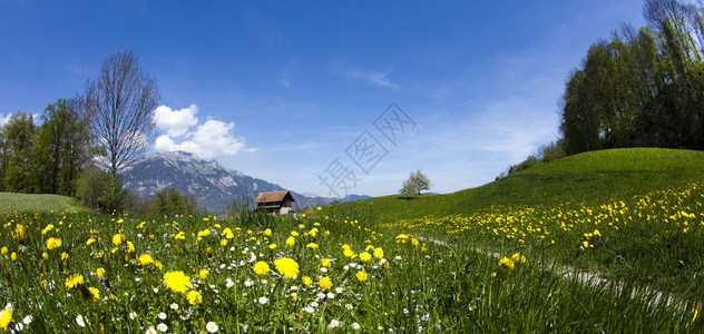 在山的春天风景apls图片