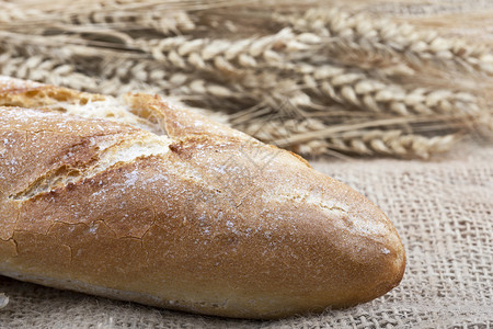 面包和小麦在静物画中代表图片