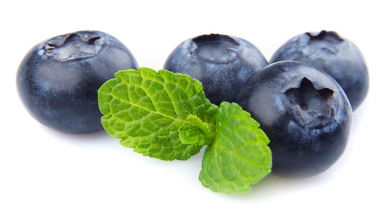 蓝莓与白色背景上的叶子图片