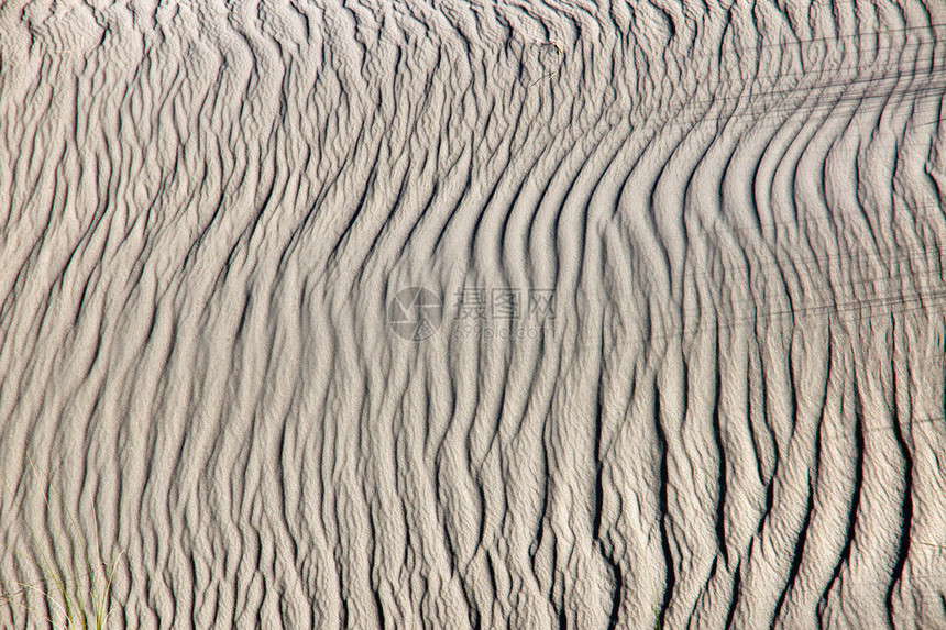 有一些草叶阴影的波纹沙丘图片