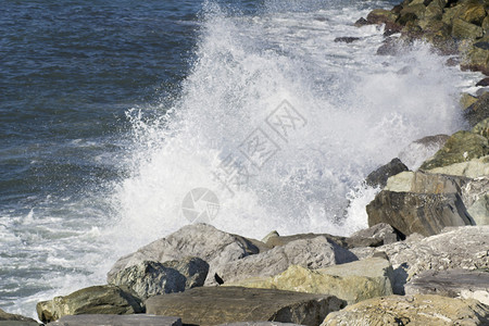 利古里亚海岸的海浪图片
