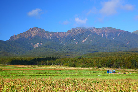 日本雅潘Yatsugatake山图片