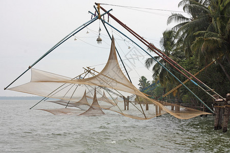 印度喀拉邦喀拉后水的可树反高清图片