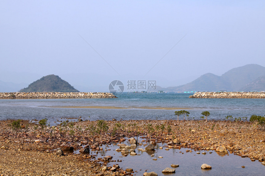 香港白天海岸景观图片