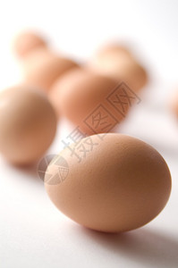 白色背景上的鸡蛋高清图片