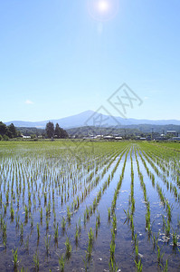 日本木田茂中山和青蓝天空日本图片