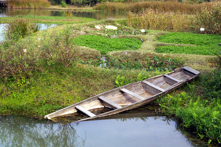 池塘单木船图片