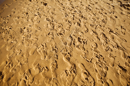 赤脚人群践踏沙子背景图片