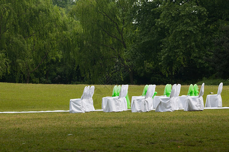 公园的户外婚礼图片