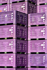 堆叠的紫色储物盒图片