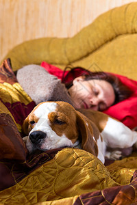睡着的女人和它的狗图片