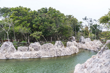 丛林海南岛背景图片