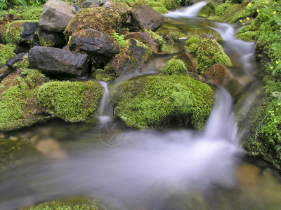 山涧流水图片