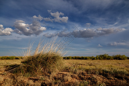 哈萨克斯坦中亚大草原的图片
