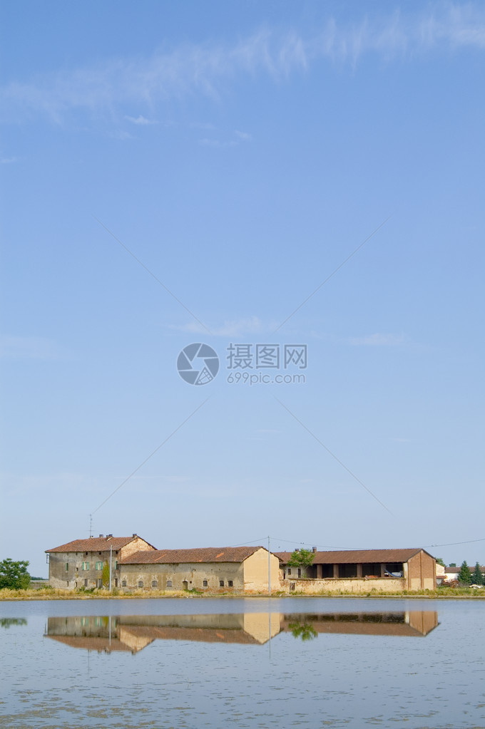 稻田老农场的景色图片