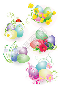 色的东方鸡蛋花朵和小青鸟图片
