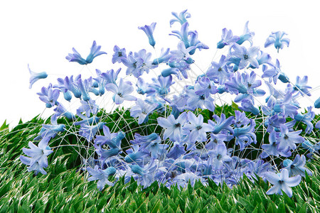 蓝色春花装饰图片