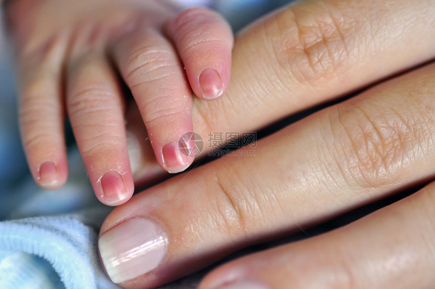 以婴儿手指为主的婴儿持有父母指图片