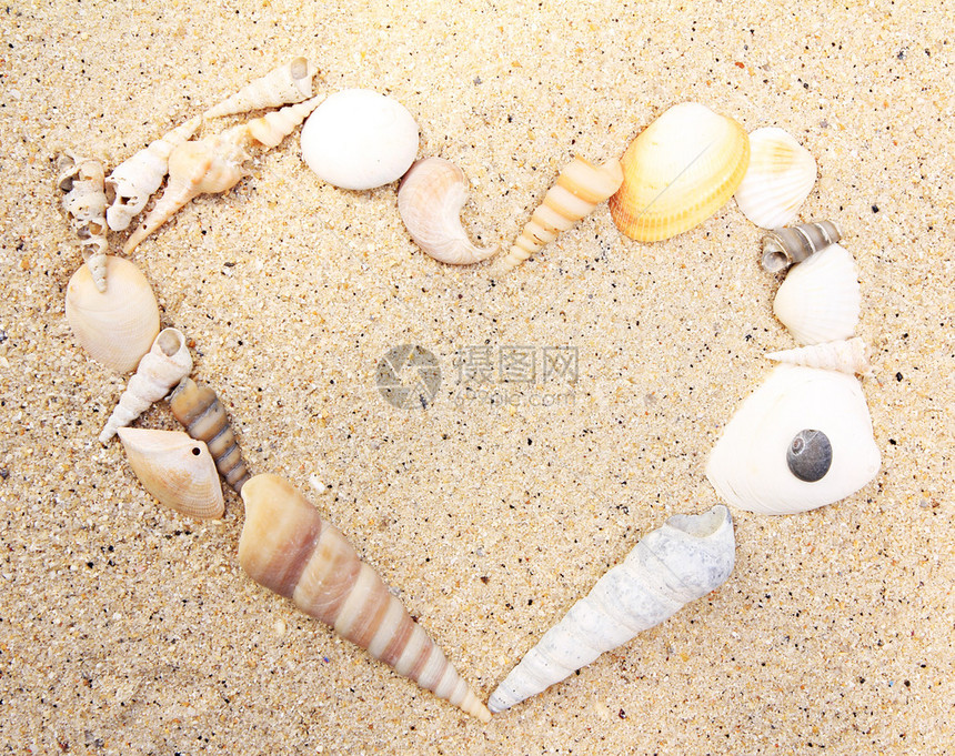 在沙子背景的海壳心脏形状图片