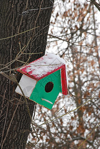 冬天的鸟舍红绿白图片