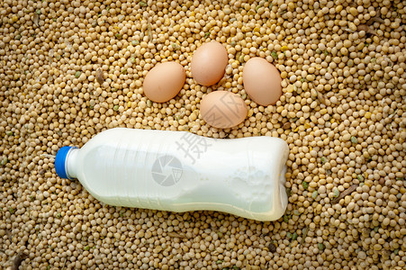 三种不同的蛋白质来源牛奶图片