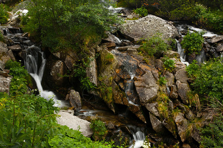 绿色的大自然中的瀑布图片