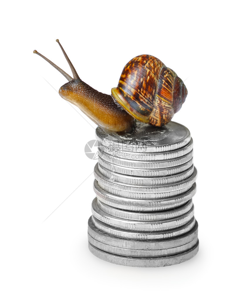 蜗牛在银币上白色孤立图片