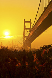 日落时的香港青马大桥图片