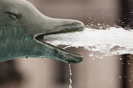 青铜海豚喷泉从嘴里吐水图片