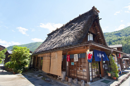 白川戈的日本阿尔卑斯山植图片