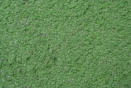 用于小型高尔夫球和装饰的人工绿色草地毯图片