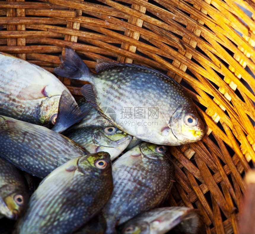 鱼类市场图片