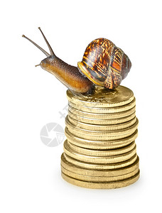 蜗牛在金币上被白色隔离图片