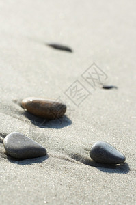 海边沙滩上的石图片