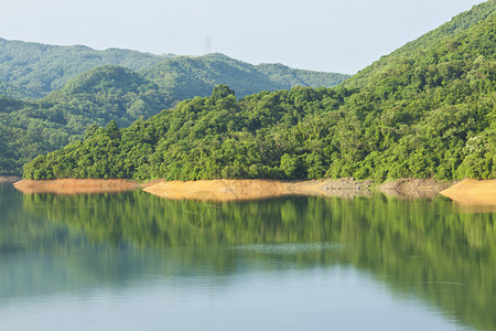 湖泊和森林图片