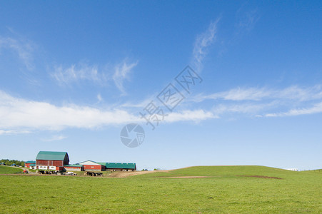 高蓝天下的农业场图片