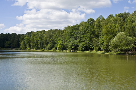莫斯科Izmaylovskiy公园记录到的夏季风景河岸上图片