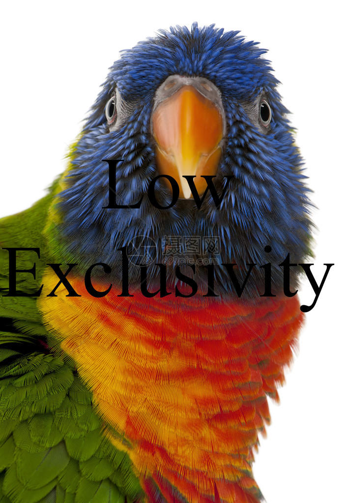 彩虹澳洲鹦鹉图片