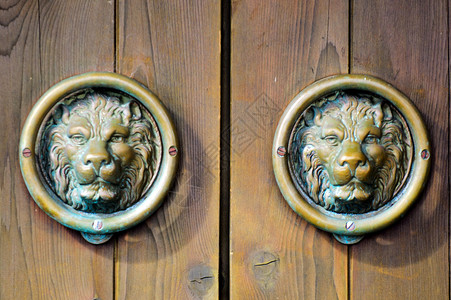 狮子旋钮和门环图片