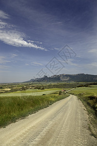 乡村公路山田野里的风景图片