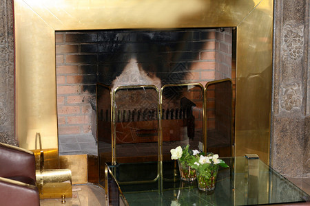 客厅背景中的壁炉图片