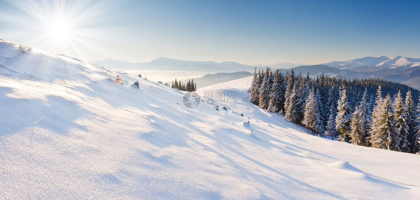 山上覆盖着白霜和雪的树木图片