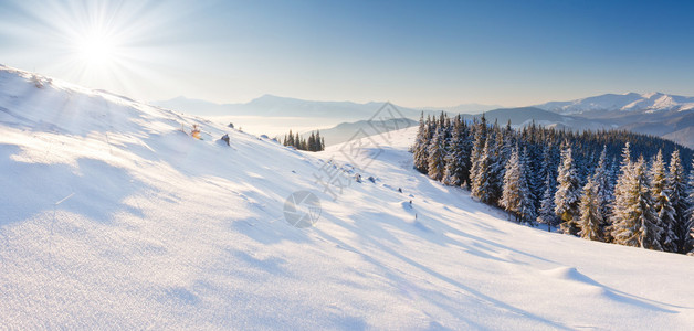 山上覆盖着白霜和雪的树木图片