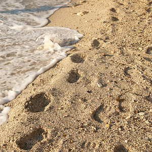 金色热带沙滩上的脚印图片
