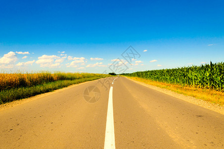 在田野中间的道路图片