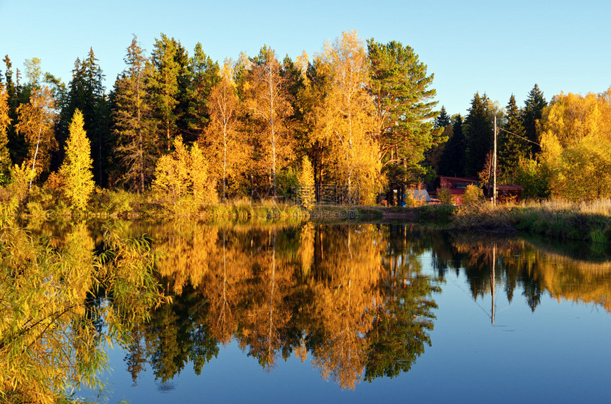 秋天的秋天森林和湖泊图片